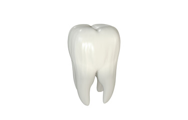 3D  rendering of Human molar teeth on white background