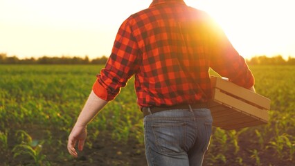 Man farmer agronomist carrying crate with vegetable harvest at sunset field closeup slowmo. Male...