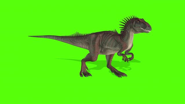 Dinosaur Walk on green screen