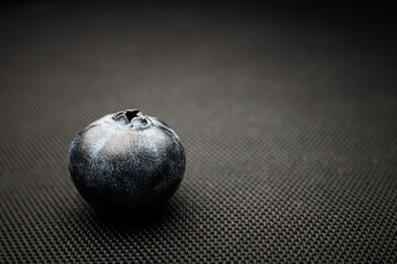 One blueberry black background. Very detailed macro shoot with copy space