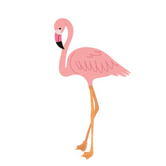 flamingo in flat style on white background vector