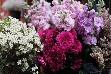 Flowers and Herbs at Italian Flower Market in Bologna, Italy
