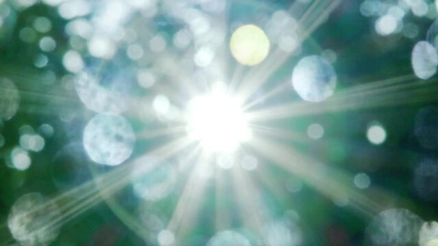 夏の太陽の暑く強い日差し　木々の葉から差し込むさわやかな木漏れ日の光とキラキラの輝く明るい丸ボケと光芒　アウトドア・夏休み・日焼け・バカンス・旅行・洗濯のイメージ背景　