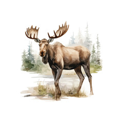 Naklejka premium Watercolor moose clipart for graphic resources