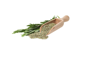 PNG, Rosemary, seasoning, isolated on white background