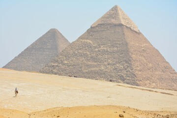ラクダとギザのピラミッド