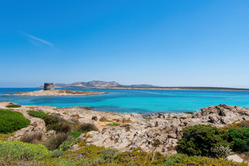 La Pelosa paradise beach with historic tower and turquoise water