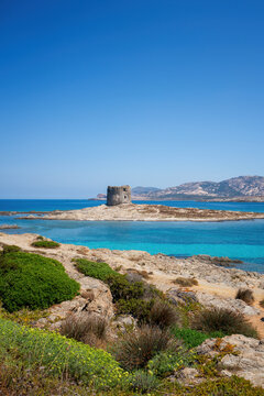 La Pelosa paradise beach with historic tower and turquoise water