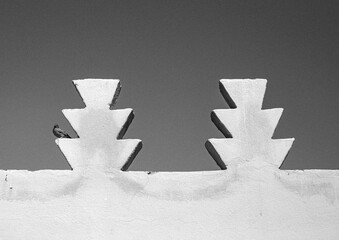 one bird sits on wall of building in Marrakech, Morocco