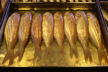 Gifts of the sea. Various seafood in the markets of Southeast Asia, the so-called 