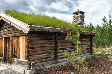 Оld traditional Norwegian wooden house roof covered with grass. Scandinavian style roof decoration with stone chimney and grass cover to insulate, sound insulation and protect from rain and snow. - obrazy, fototapety, plakaty