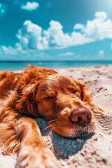 Pedigree puppy relaxing on sandy tropical beach during a peaceful and idyllic summer vacation