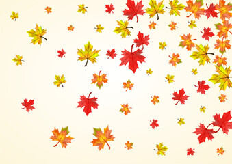 Fototapeta na wymiar Colorful Leaf Background Beige Vector. Floral Down Card. Autumnal Pattern Leaves. Collection Plant Illustration.