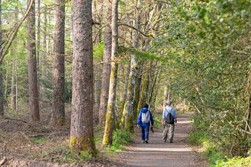 Obraz premium Way of St. James. Couple of pilgrims. Roncesvalles-Zubiri Stage