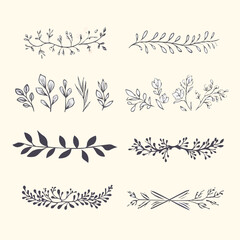Obraz premium Laurel and floral text dividers doodle set. Wedding decorative elements with leaves and flowers. Branches, divider ornament, borders, lines. Hand drawn vector illustration isolated on white background