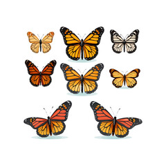 Monarch butterflies set. Vector illustration isolated on white background