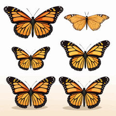 Obraz premium Monarch butterflies set. Vector illustration isolated on white background