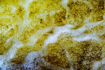 water with foam and bubbles on the river