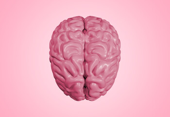 3D rendering of human brain on pink background