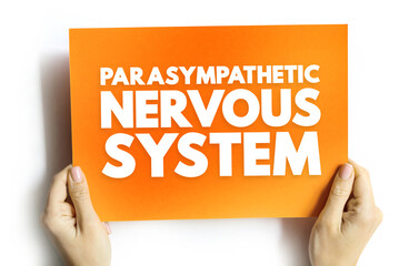 Parasympathetic Nervous System - network of nerves that relaxes your body after periods of stress...