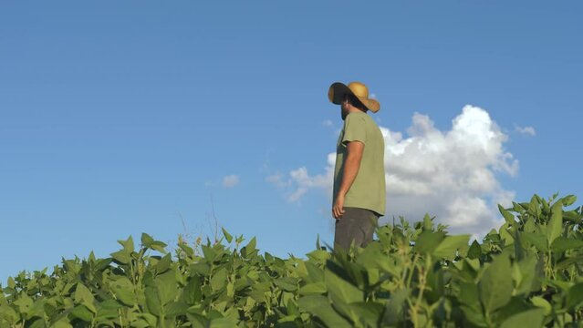 A rural producer man wearing hat in a sunny day in a soybean plantation field - Country side Brazil