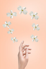 female hand of a Caucasian girl on a gentle background of peach fuzz and flying flowers dogwood. Display for advertising cosmetics. Vertical photo