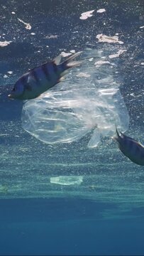Ocean surface with plastic debris drifting in an oily-fat layer, Slow motion. Close-up of plastic and ather pollution on surface of ocean in sunny day. Plastic bags drifting in oily fatty layer  