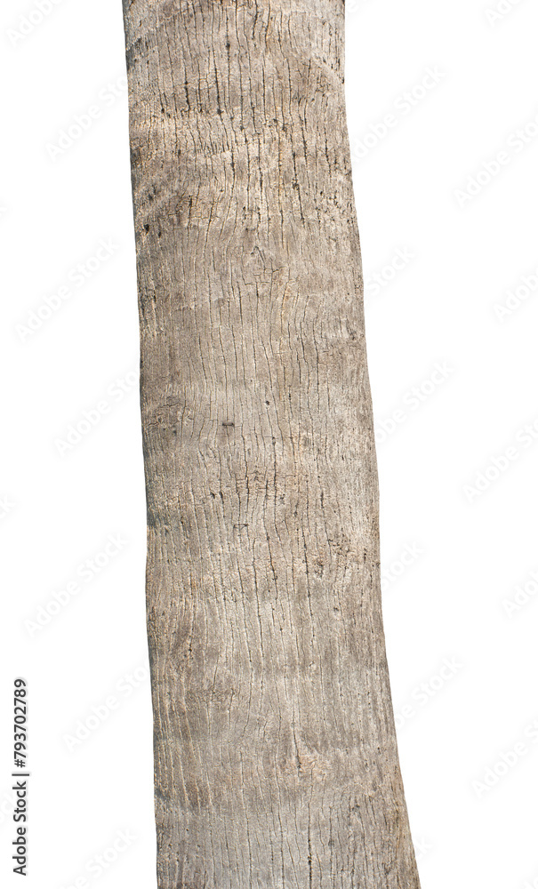Aufkleber trunk of a tree isolated on transparent background.