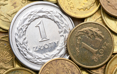 Coin 1 zloty. Polish currency with zloty coins