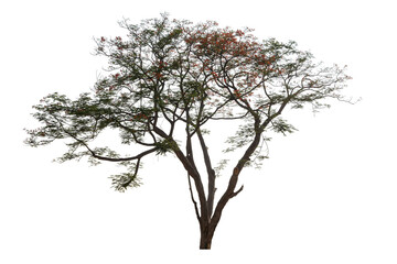 The tree is bare and has no foliage, giving it a desolate and lonely appearance. A tree.