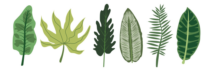 Vector flat cartoon illustration set of tropical leaves isolated on white background. Highly detailed colorful plant collection. Botanical elements for cosmetics, spa, beauty care products , fashion