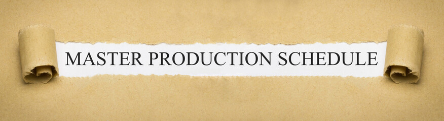 Master Production Schedule