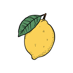 Lemon sketch isolated on white background. Lemon vintage doodle icon. Vector illustration