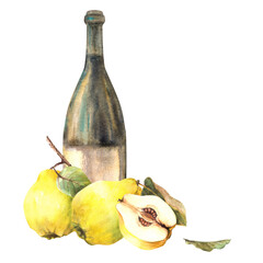 Quince fruit with bottle of wine, ripe yellow whole and cut fruit. Fruit liquor, wine, schnapps, juice, alcohol drink label, sticker print Watercolor hand drawn illustration Isolated white background.