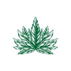 Leaf trees weed mascot or logo 