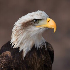 Obraz premium AI generated illustration of a bald eagle looking into the distance