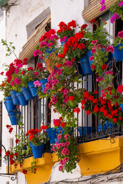 This image embodies the vibrant charm of Andalusia, featuring a profusion of red flowers against the yellow and white backdrop typical of Cordoba, Europe, and represents travel at its most picturesqu