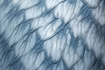 Obraz premium Arctic Wildlife Photography Filters: Frost Pattern Detail Sharpening In Focus