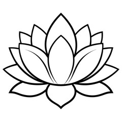 Lotus Flower vector art illustration (14)
