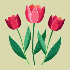 Obraz premium Tulip flower vector art illustration (6)