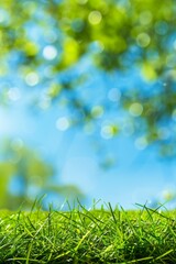Defocused sunny spring meadow with gradient sky and grass blur creating bokeh effect