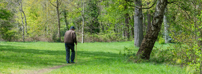 old man wearing hat walks in green park in spring near utrecht in holland
