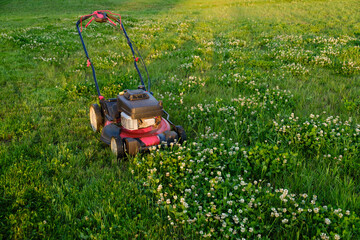 Fototapeta premium Lawn mower on green grass background. Petrol machine for cutting. Garden care. Electric equipment. Side view. Copy space. Lots of clover weeds. Sport lawn for games. Weed control. High quality photo