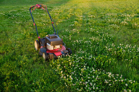 Lawn mower on green grass background. Petrol machine for cutting. Garden care. Electric equipment. Side view. Copy space. Lots of clover weeds. Sport lawn for games. Weed control. High quality photo