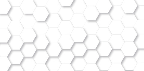 Background with hexagons. Abstract background with lines. white texture background. White and hexagon Abstract background. white paper texture and futuristic business. Modern abstract vector polygonal - obrazy, fototapety, plakaty