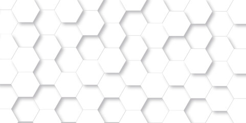 Background with hexagons. Abstract background with lines. white texture background. White and hexagon Abstract background. white paper texture and futuristic business. Modern abstract vector polygonal