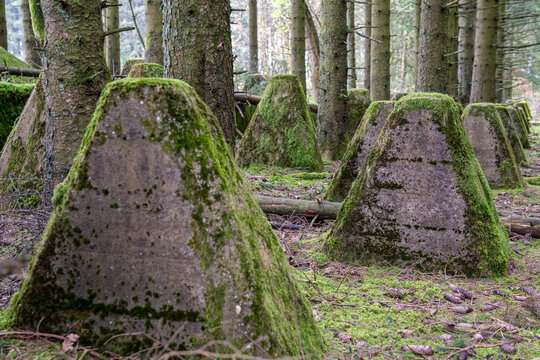 Westwall, Eifel, North Rhine Westphalia, Germany
