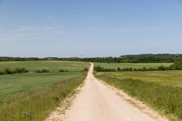 country road in the summer season