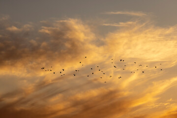 beautiful multicolored sky at sunset