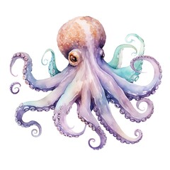 Watercolor octopus isolated on white background. Hand drawn illustration.